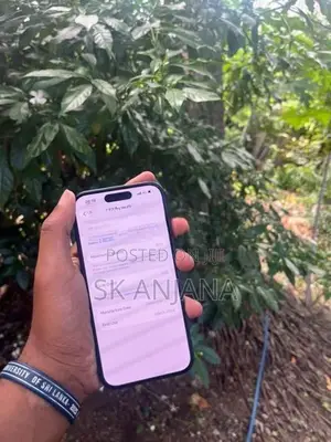 Apple iPhone 15 (Used)