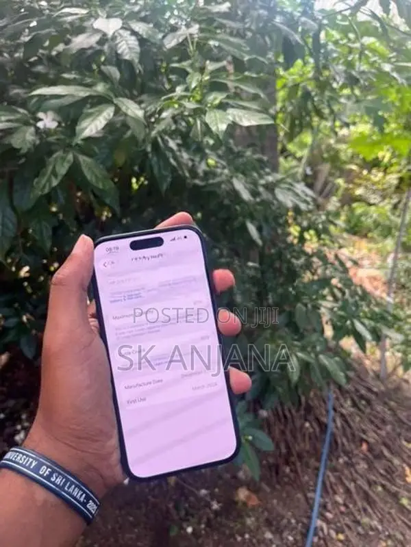 Apple iPhone 15 (Used)