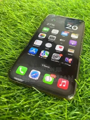 Apple iPhone XS Max (Used)