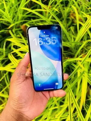 Apple iPhone 13 Pro 256GB (Used)