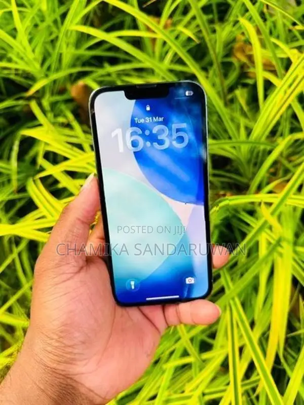 Apple iPhone 13 Pro 256GB (Used)