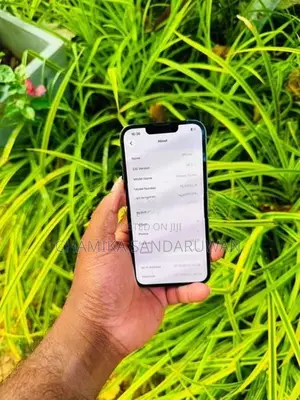 Apple iPhone 13 Pro 256GB (Used)