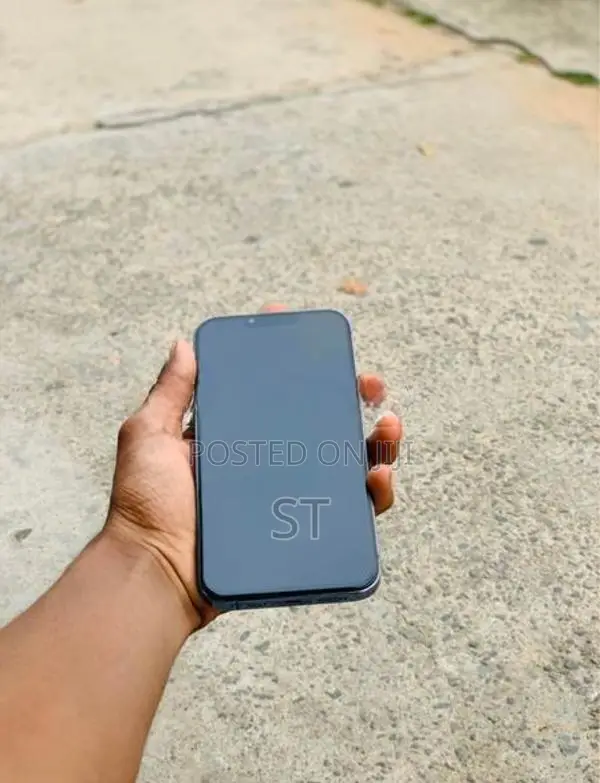 Apple iPhone 13 Pro Max 128GB (Used)
