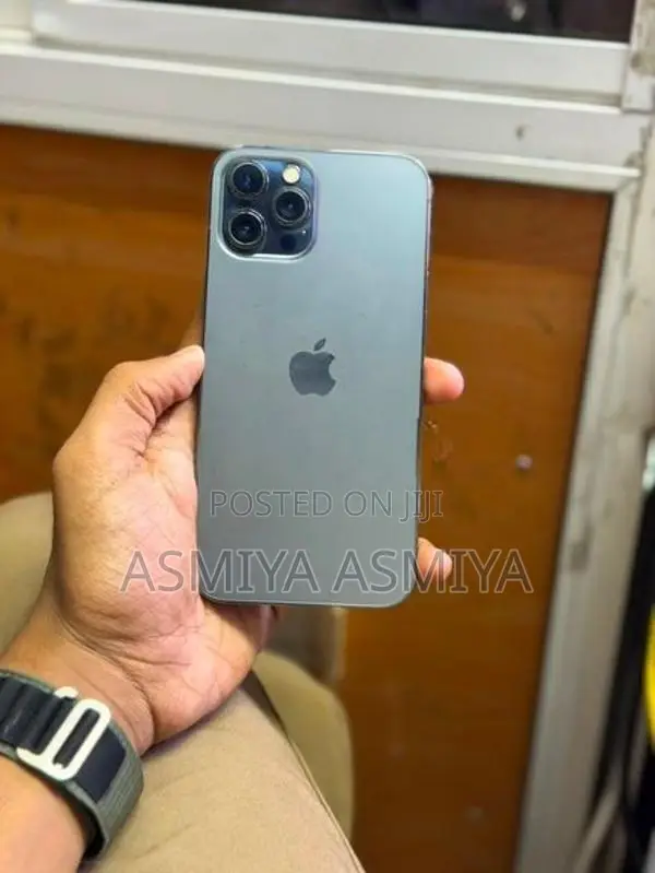Apple iPhone 12 Pro Max (Used)