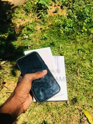 Apple iPhone 13 (Used)