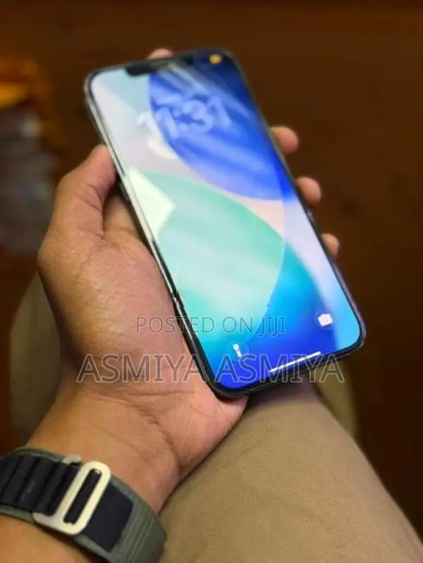 Apple iPhone 12 Pro Max (Used)