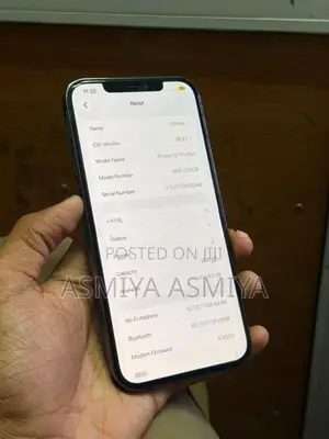 Apple iPhone 12 Pro Max (Used)
