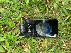 Apple iPhone 8 (Used)