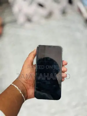 Apple iPhone 12 Pro Max (Used)