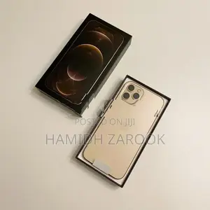 Apple iPhone 12 Pro Max (Used)