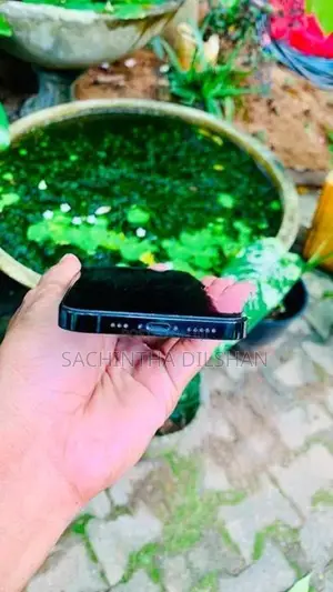 Apple iPhone 12 Pro (Used)