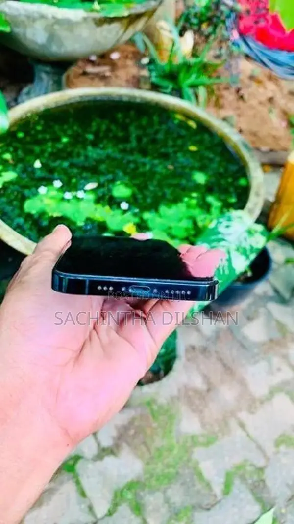 Apple iPhone 12 Pro (Used)