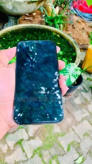 Apple iPhone 12 Pro (Used)