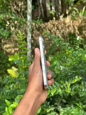 Apple iPhone 15 Pro 128GB (Used)
