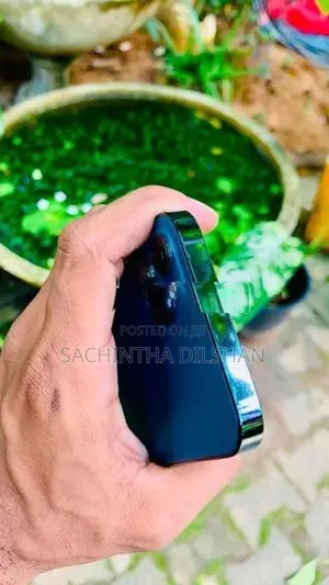 Apple iPhone 12 Pro (Used)