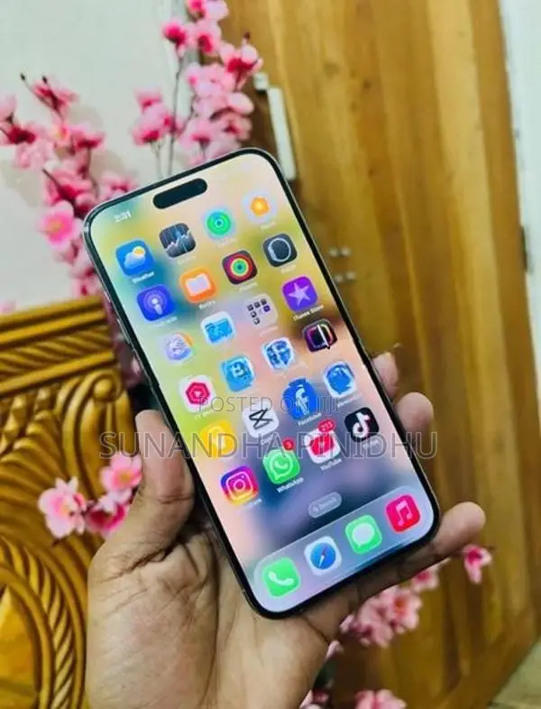 Apple iPhone 15 Pro Max (Used)