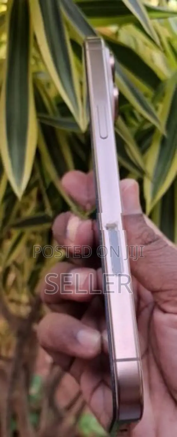 Apple iPhone 16 Pro Max 16pro (Used)
