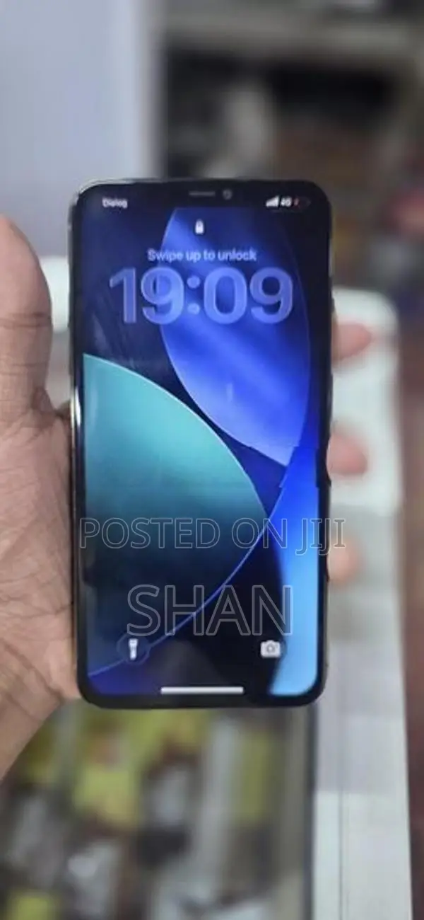 Apple iPhone 11 Pro Max 256GB (Used)