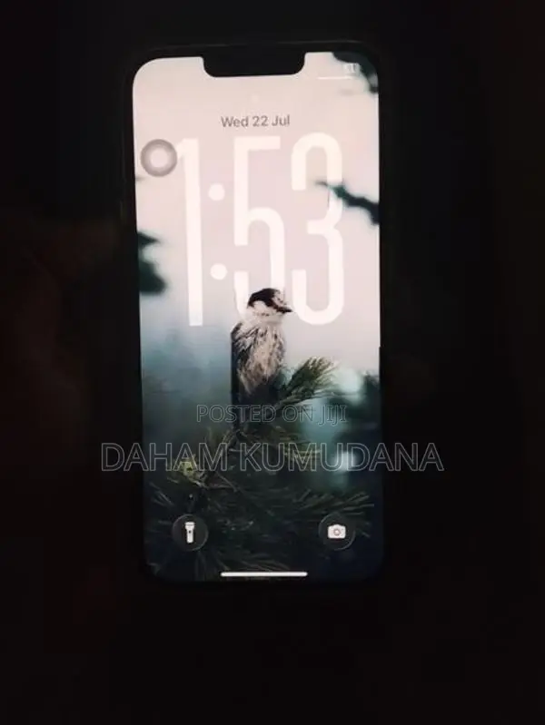 Apple iPhone 14 (Used)