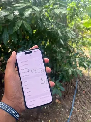 Apple iPhone 15 (Used)