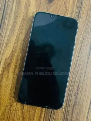 Apple iPhone 13 Pro Max (Used)