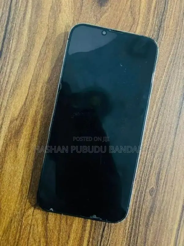 Apple iPhone 13 Pro Max (Used)