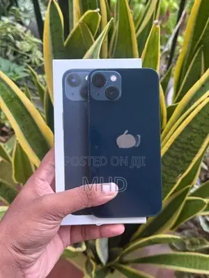Apple iPhone 13 (Used)