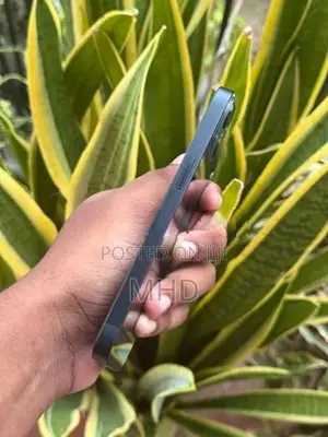 Apple iPhone 13 (Used)