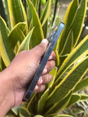 Apple iPhone 13 (Used)