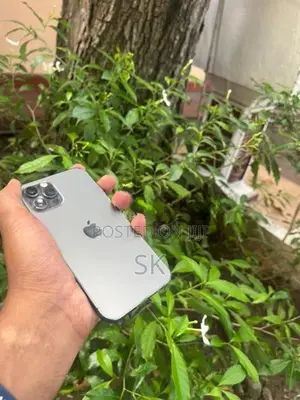 Apple iPhone 12 Pro (Used)