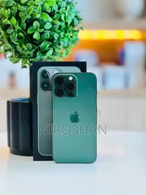 Apple iPhone 13 Pro (Used)