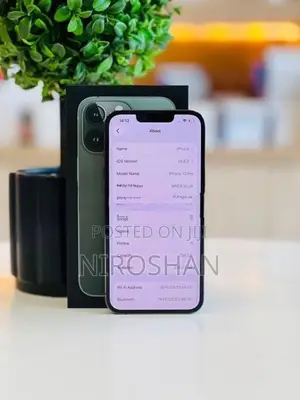 Apple iPhone 13 Pro (Used)