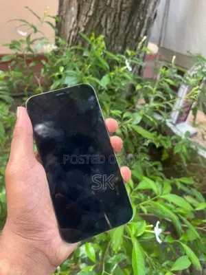 Apple iPhone 12 Pro (Used)