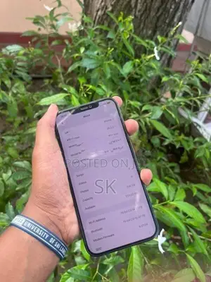 Apple iPhone 12 Pro Max (Used)