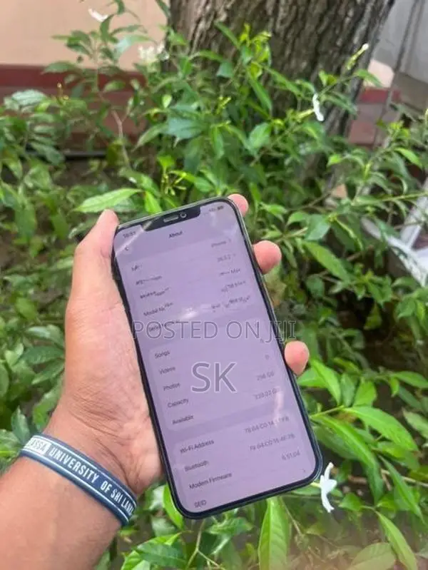 Apple iPhone 12 Pro Max (Used)