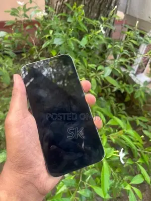 Apple iPhone 12 Pro (Used)