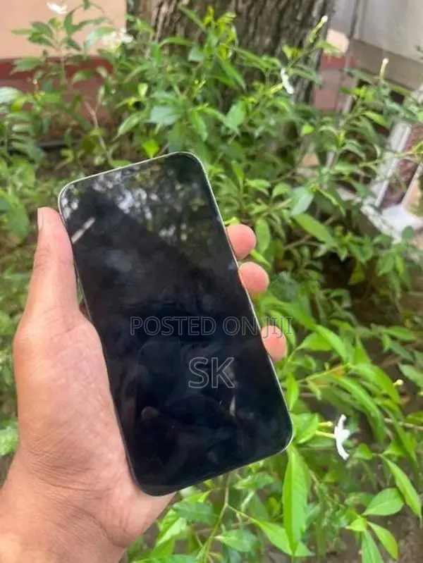 Apple iPhone 12 Pro (Used)