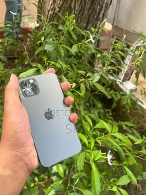 Apple iPhone 12 Pro (Used)