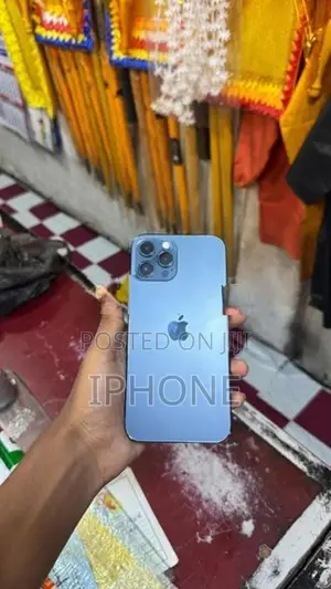 Apple iPhone 12 Pro Max 256 GB (Used)