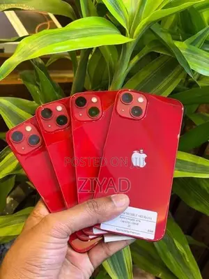 Apple iPhone 13 128GB (Used)