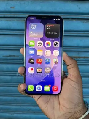Apple iPhone 12 Pro Max 256GB (Used)