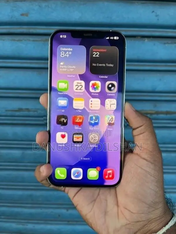 Apple iPhone 12 Pro Max 256GB (Used)