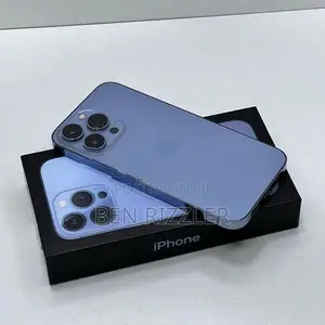 Apple iPhone 13 Pro Max (Used)