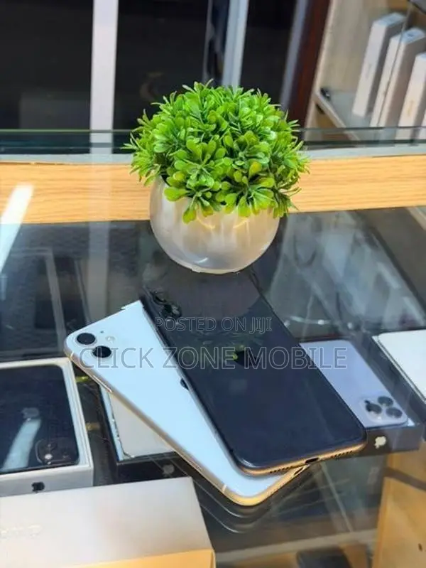 Apple iPhone 11 64GB (Used)