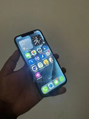 Apple iPhone 12 Pro Max 256GB (Used)
