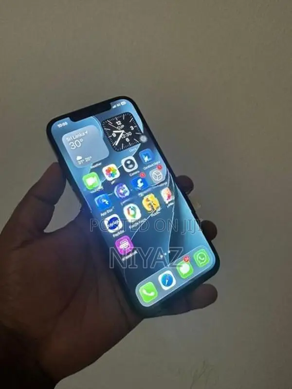 Apple iPhone 12 Pro Max 256GB (Used)