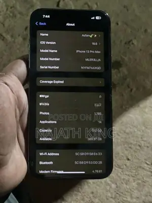 Apple iPhone 13 Pro Max (Used)