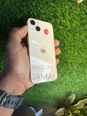 Apple iPhone 13 (Used)