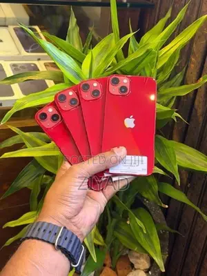 Apple iPhone 13 128GB (Used)