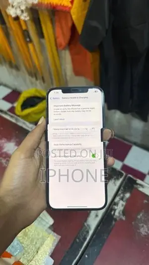 Apple iPhone 12 Pro Max 256 GB (Used)